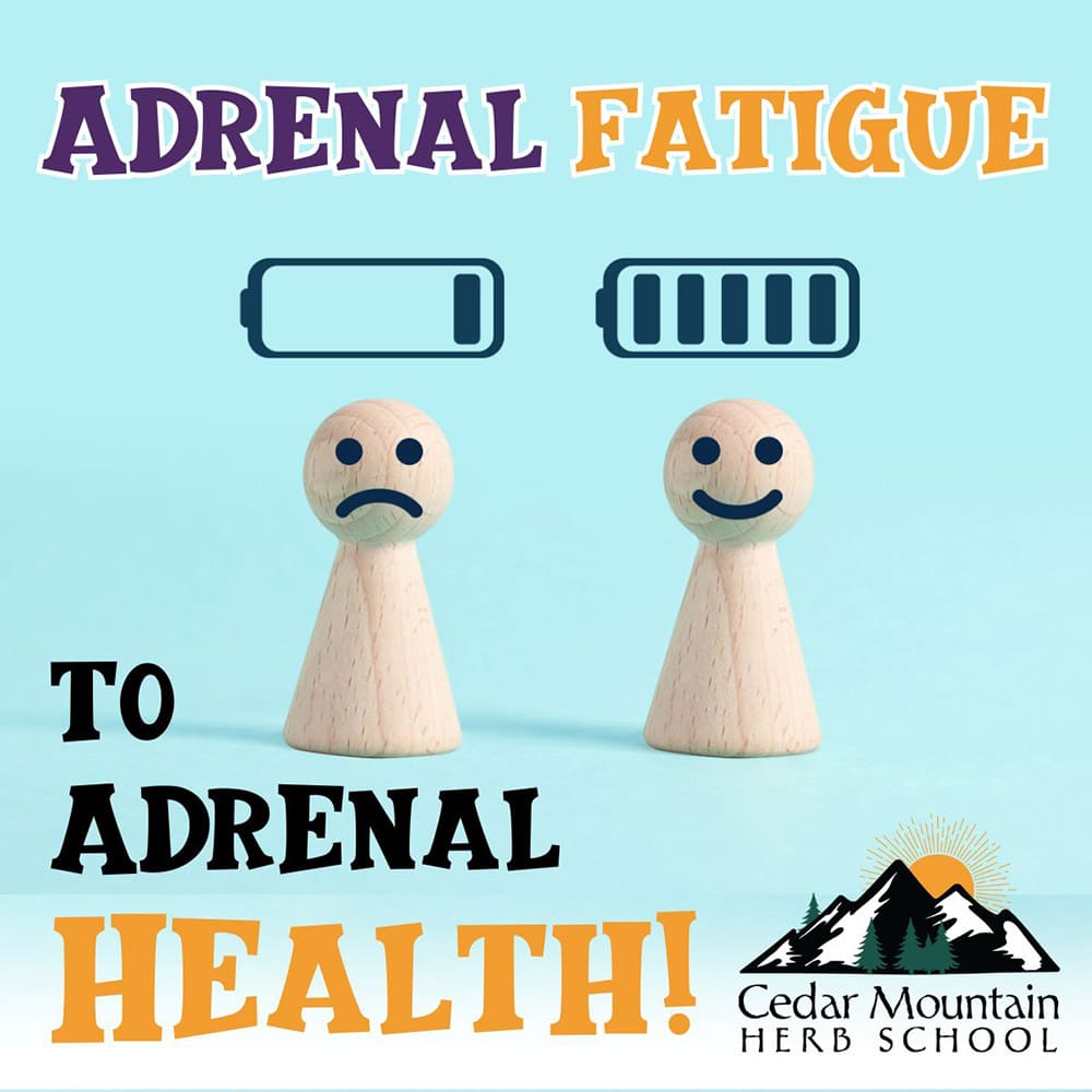 Adrenal Fatigue to Adrenal HEALTH!