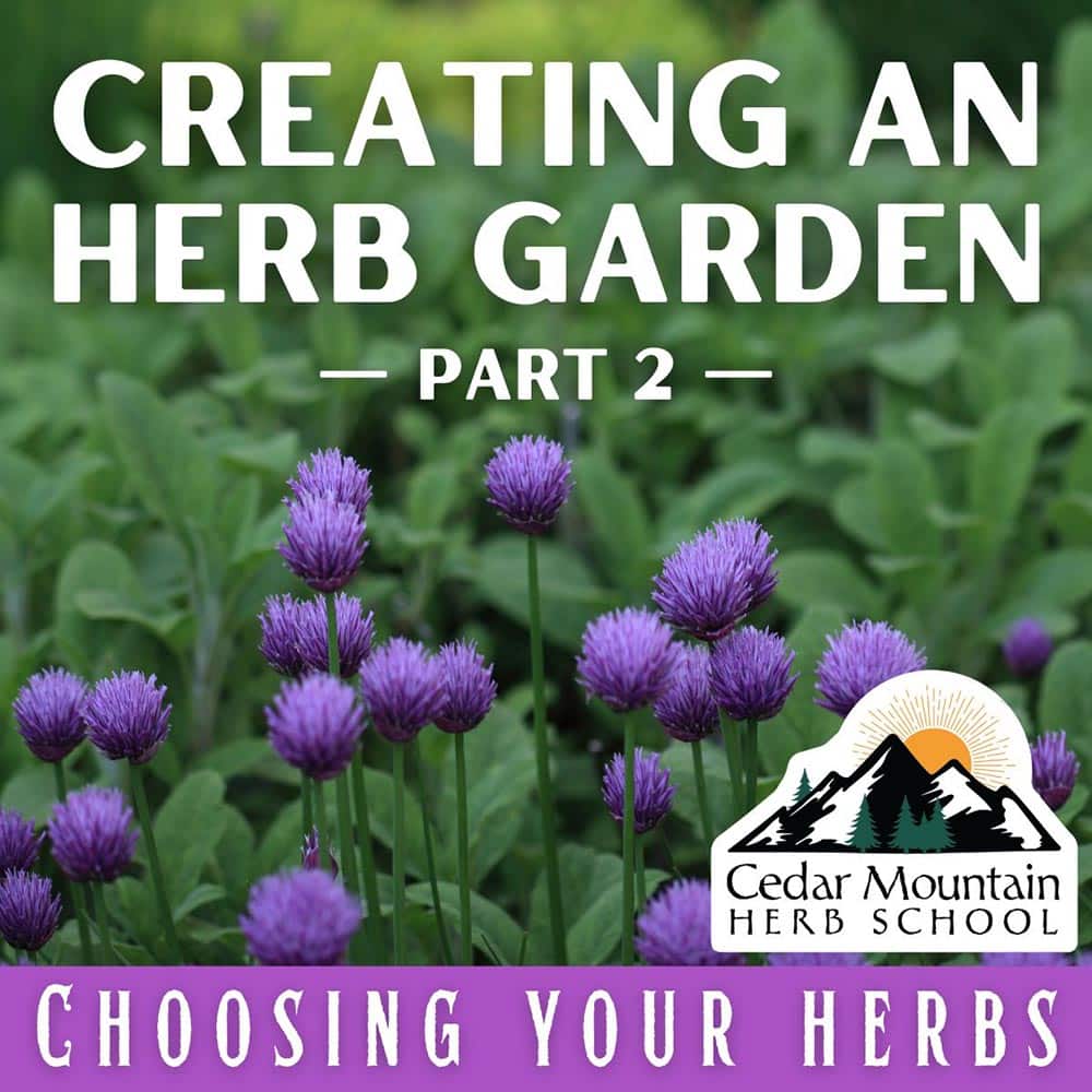 Creating an Herb Garden Part 2: Choosing Your Herbs