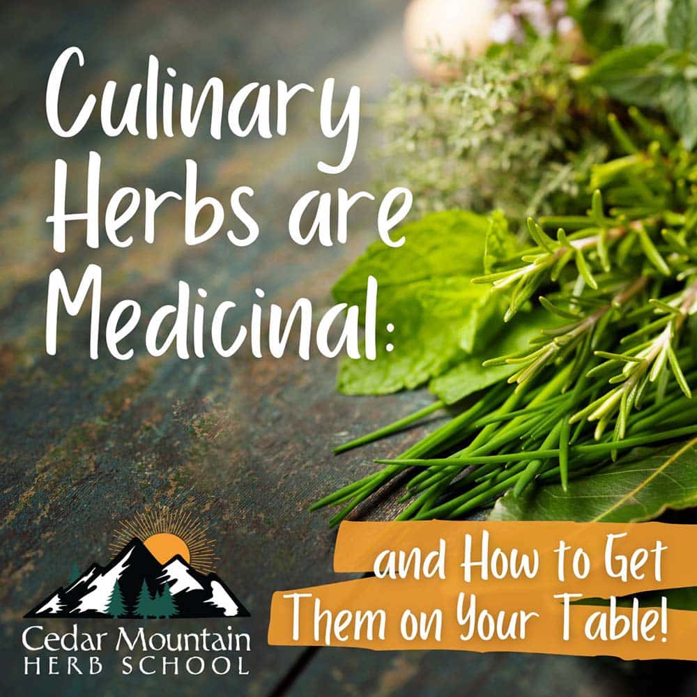 Culinary Herbs are Medicinal – How to Get Them on Your Table