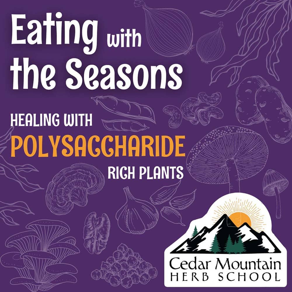 Eating with the Seasons: Healing with Polysaccharide Rich Plants