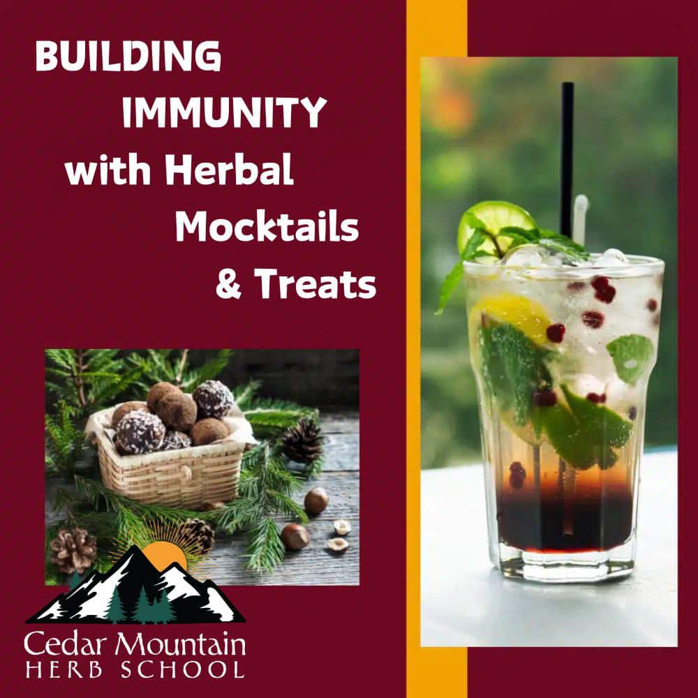 Building Immunity with Herbal Mocktails & Treats