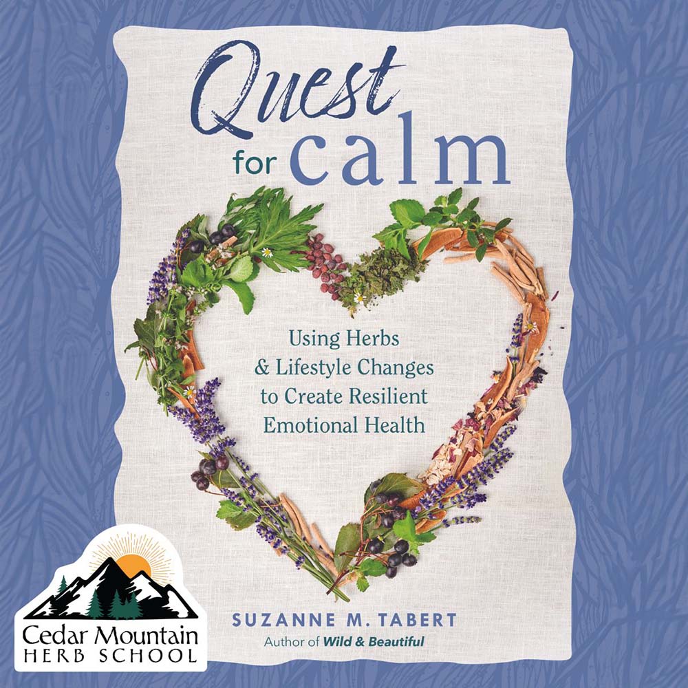 Quest for Calm: The Webinar