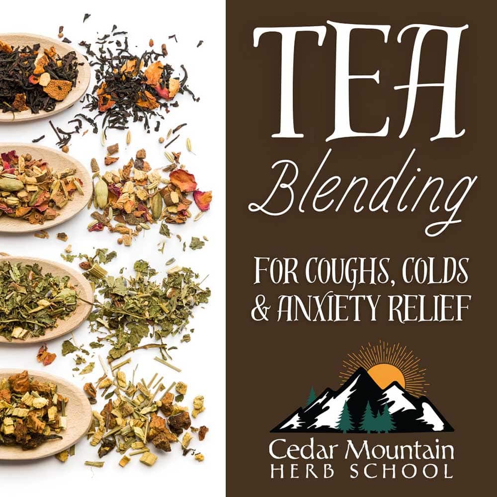 Tea Blending: For Coughs, Colds & Anxiety Relief