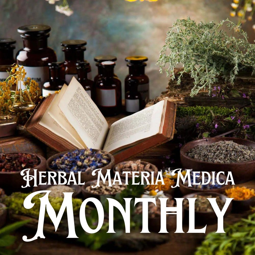 Herbal Materia Media Monthly