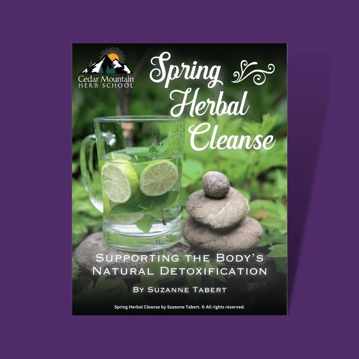 Spring Herbal Cleanse: Supporting the Body’s Natural Detoxification (PDF eBook)