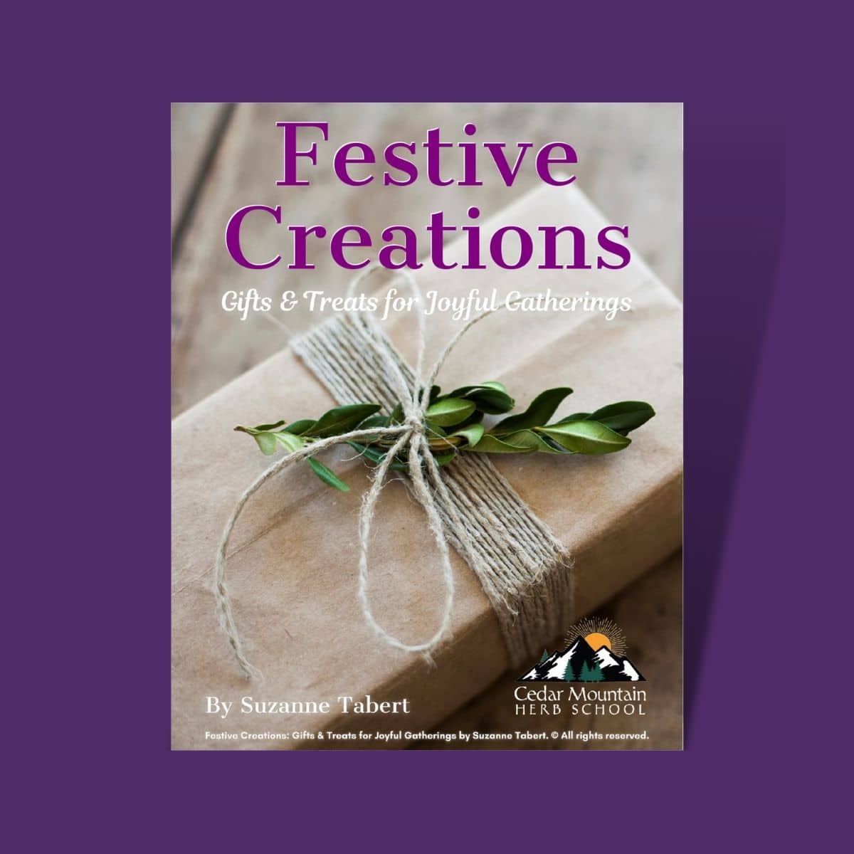 Festive Creations: Gifts & Treats for Joyful Gatherings (PDF eBook)