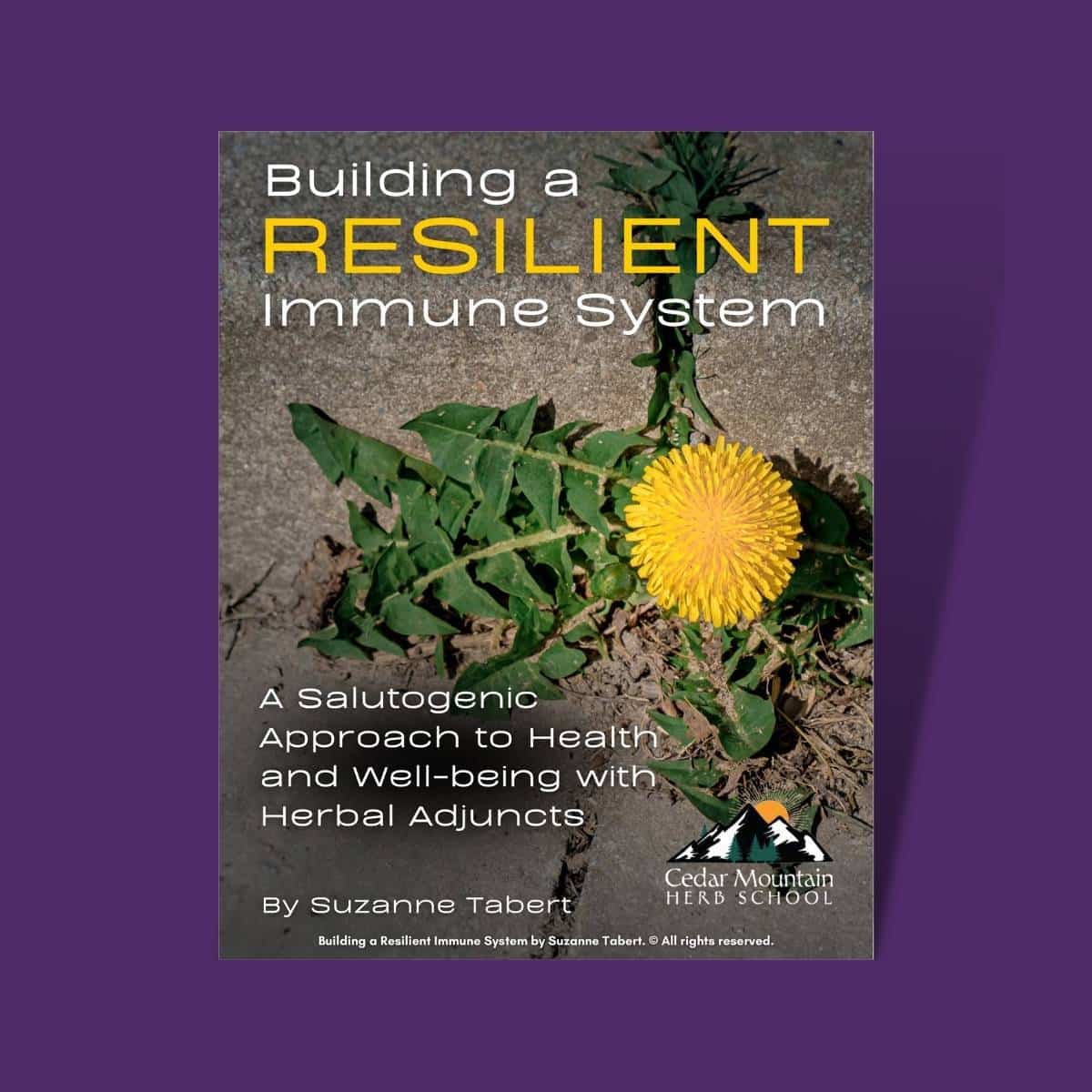 Building a Resilient Immune System" by Suzanne Tabert with a dandelion growing in a sidewalk crack.