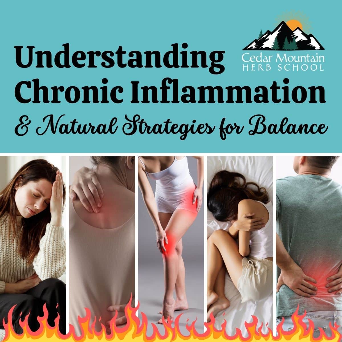 Understanding Chronic Inflammation & Natural Strategies for Balance